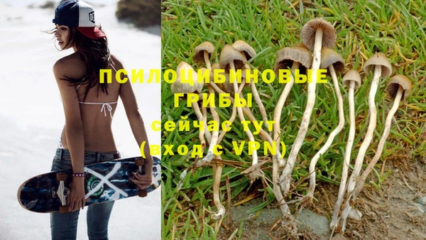 дурь Нея