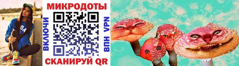 Галлюциногенные грибы Cubensis Купить Нахабино