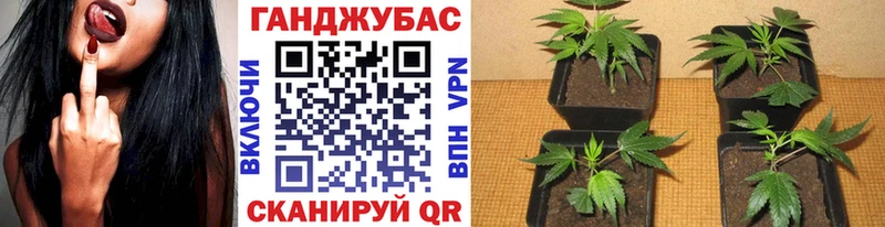 Марихуана семена  Купить закладки  Нахабино 